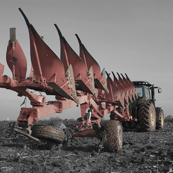 La agricultura la silvicultura y la pesca hardox La-agricultura-la-silvicultura-y-la-pesca-hardox.jpeg